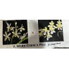 VANDOFINETIA WHITE CRANE X SEDERIA JAPONICA